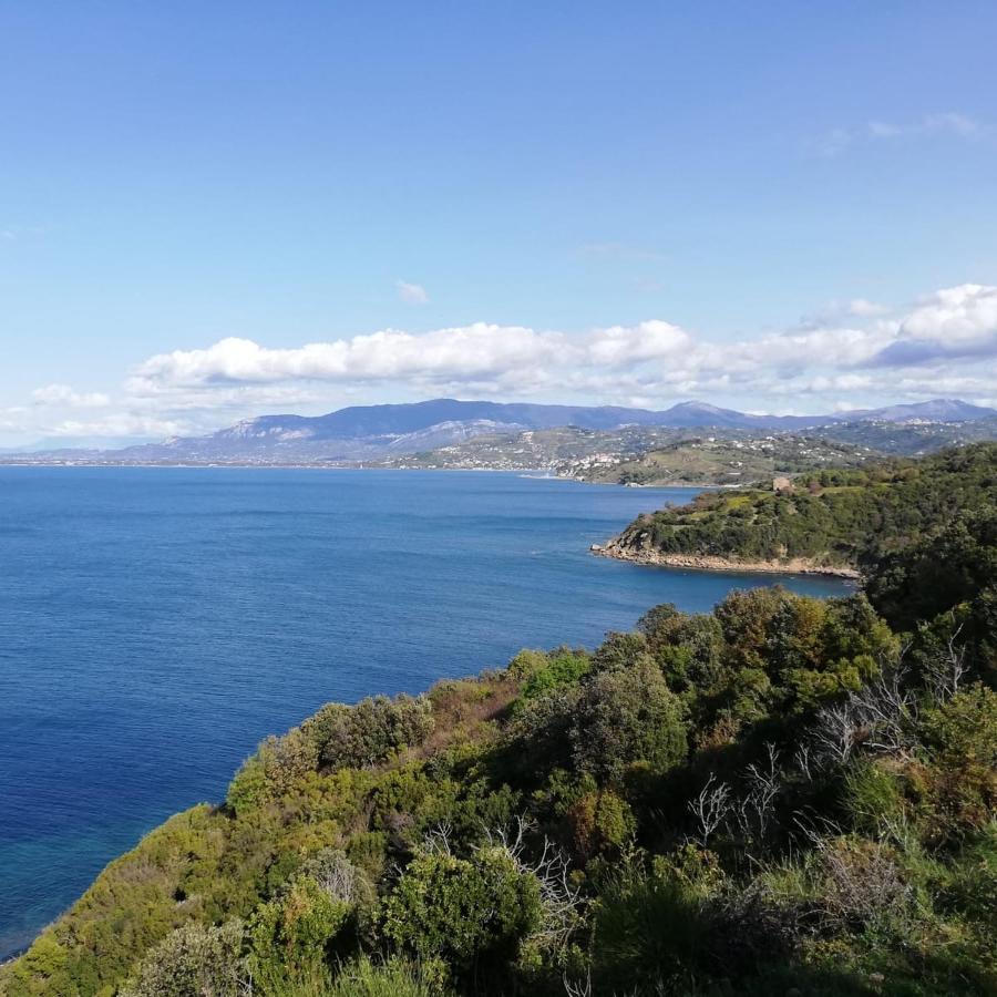 Panoramic Apartments In Villa In Center "The Beach And The Cliff" 1 Agropoli Exterior foto